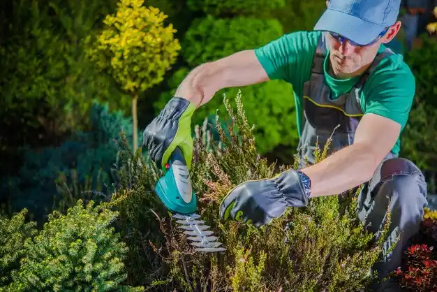 landscaping services Houston Acres